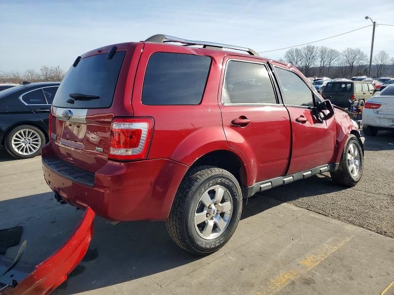 2011 Ford Escape Limited