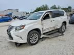 2014 Lexus Gx 460
