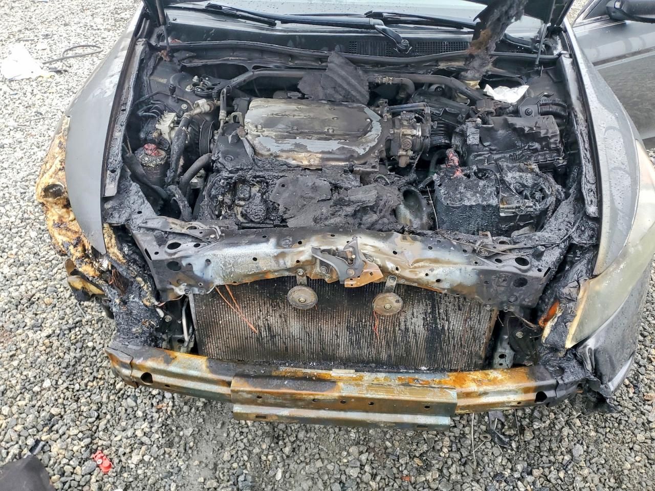 2010 Honda Accord exl