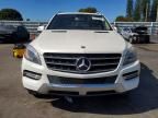 2013 Mercedes-Benz Ml 350