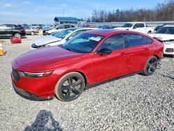 2025 Honda Accord Hybrid Sport-l for sale in Memphis, TN