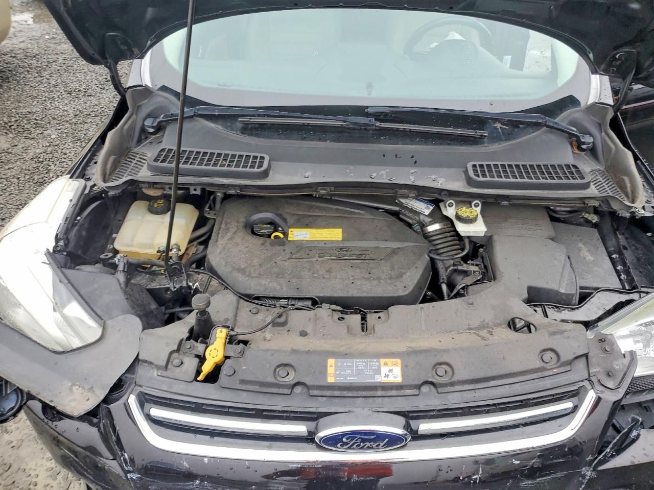 2013 Ford Escape sel