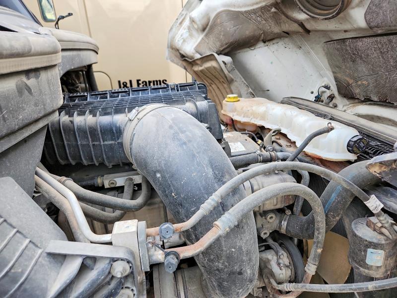 2019 Freightliner Cascadia 126