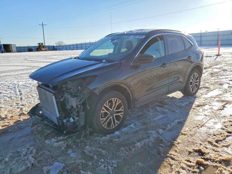 2021 Ford Escape sel