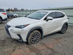 2020 Lexus Nx 300 for sale in Pennsburg, PA