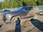 2016 Cadillac Escalade Luxury