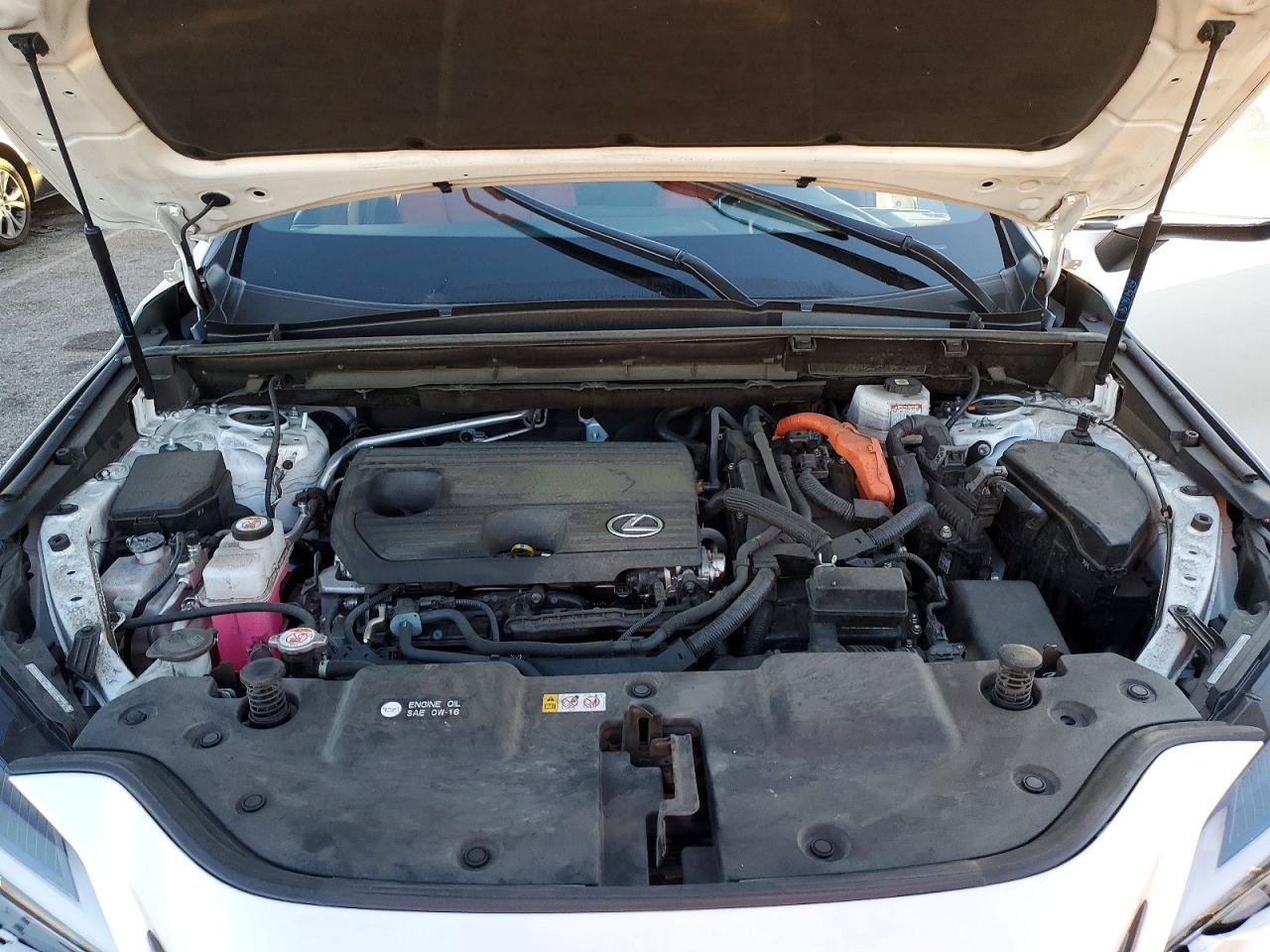 2024 Lexus Nx 350h Base