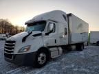 2019 Freightliner Cascadia 116