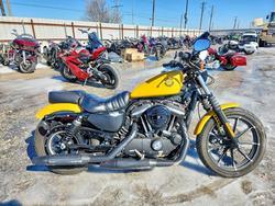 Salvage motorcycles for sale at Haslet, TX auction: 2019 Harley-Davidson XL883 N