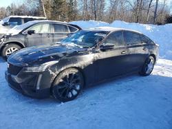 Cadillac Vehiculos salvage en venta: 2021 Cadillac CT5 Sport
