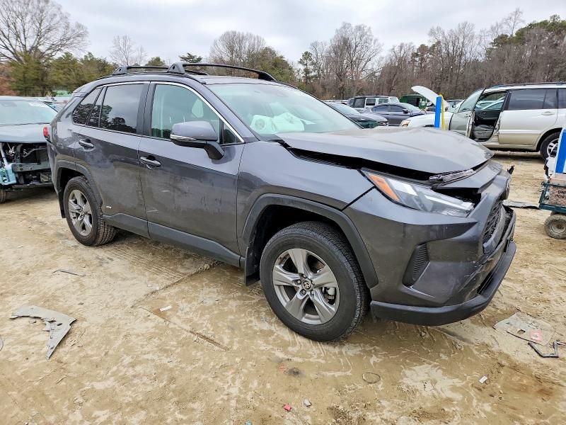 2025 Toyota Rav4 xle