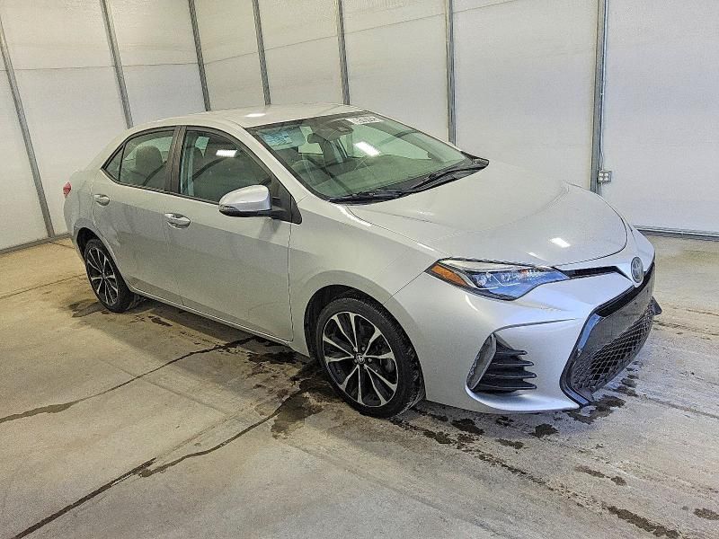 2019 Toyota Corolla l