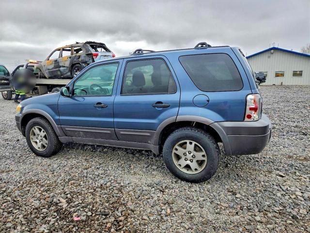 2005 Ford Escape xlt