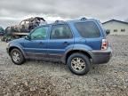 2005 Ford Escape xlt