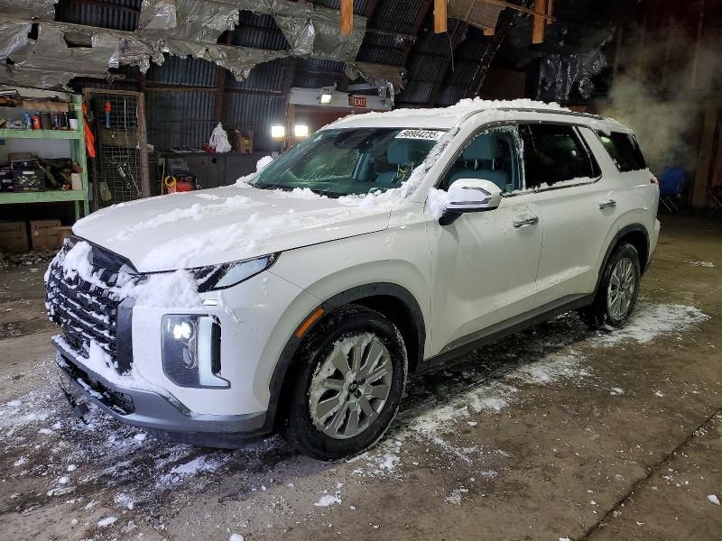 2025 Hyundai Palisade sel