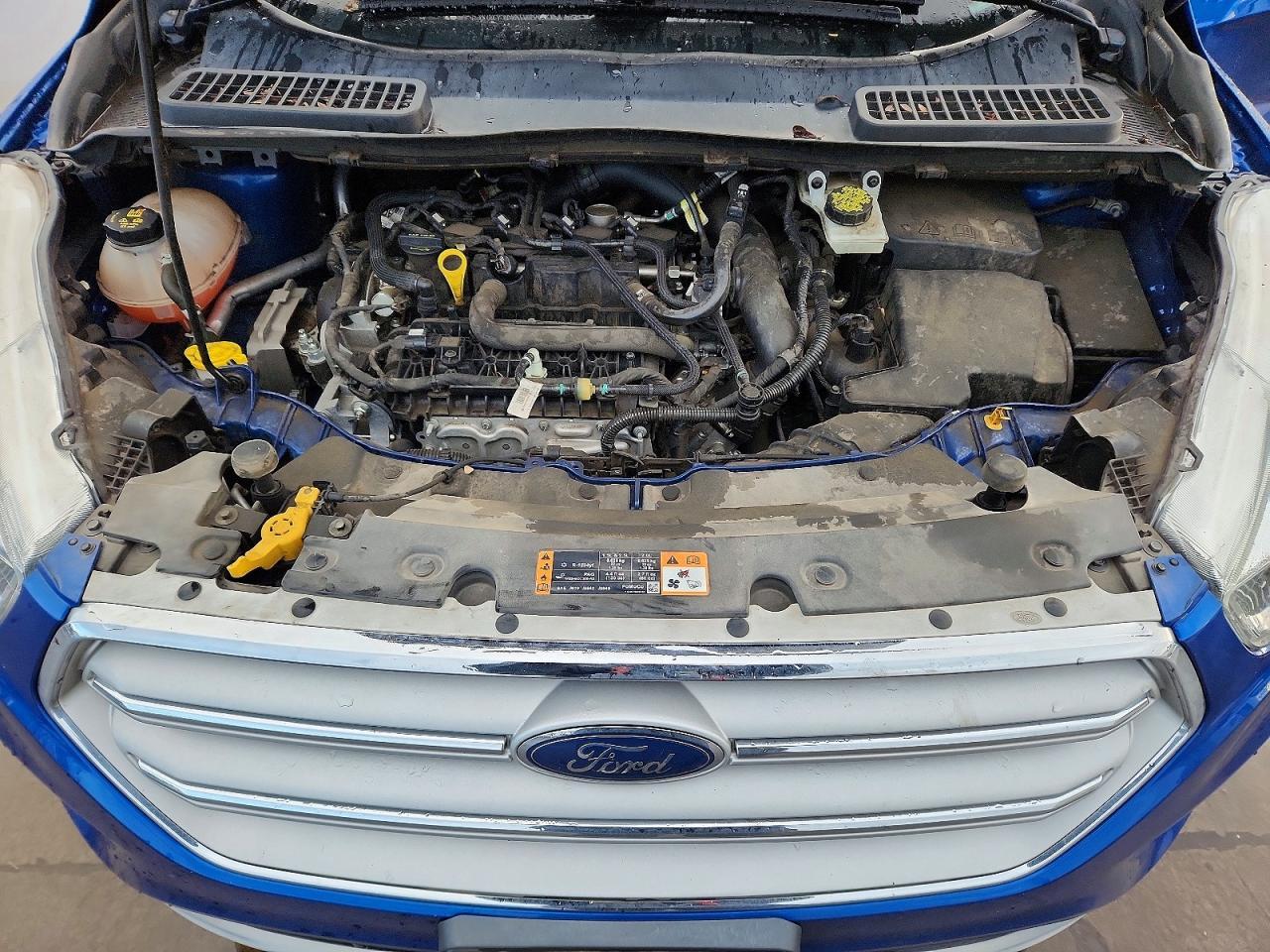 2019 Ford Escape se