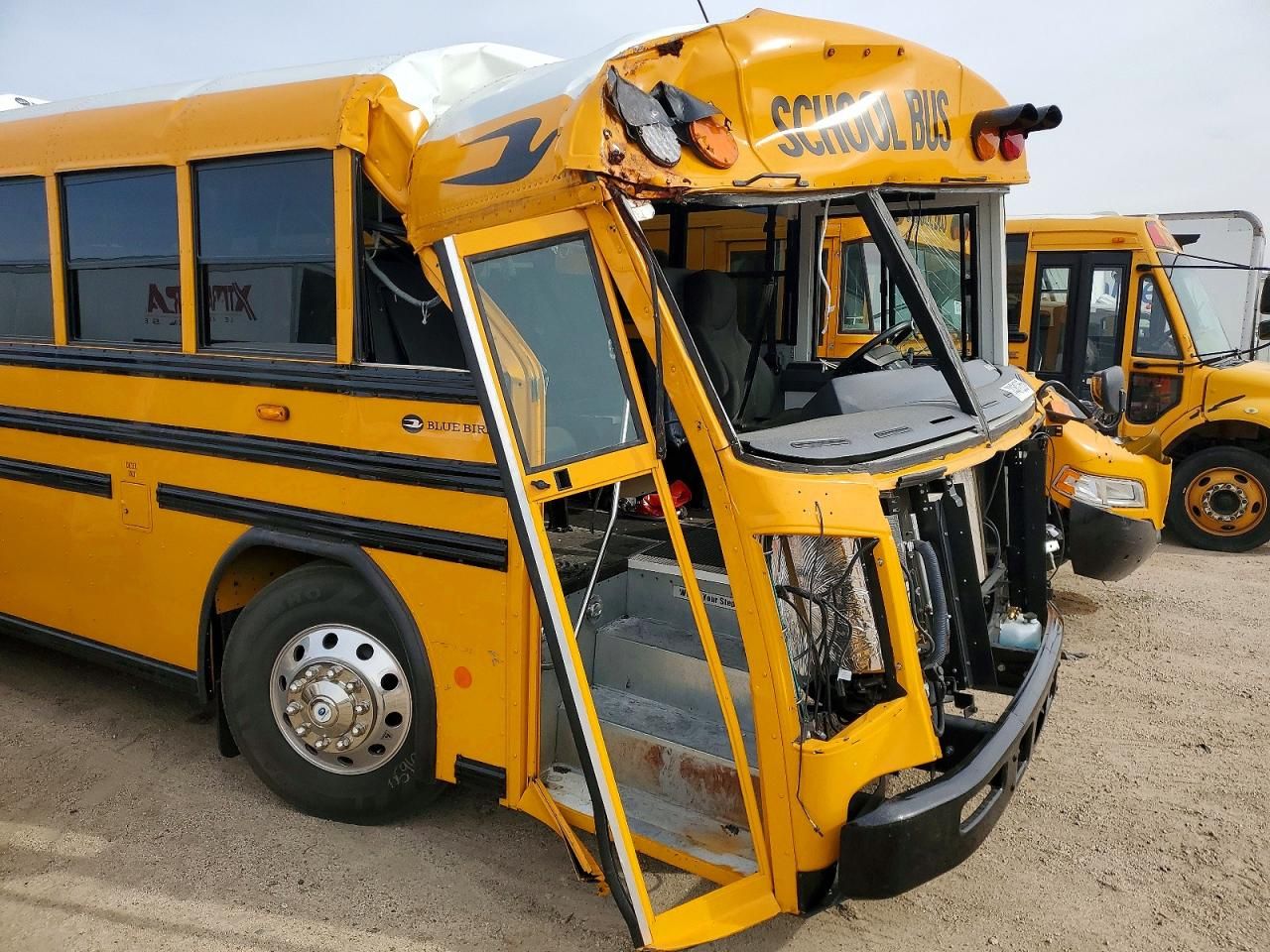 2026 Blue Bird School Bus / Transit Bus
