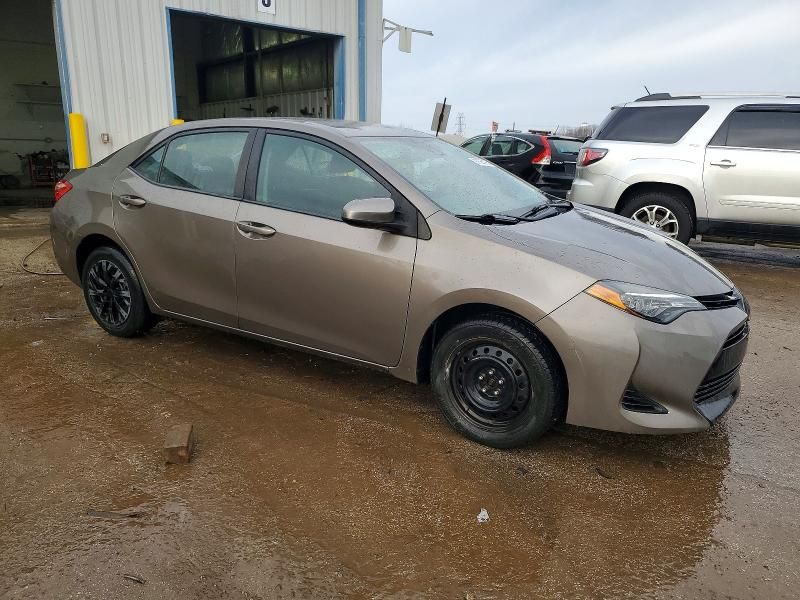 2019 Toyota Corolla l