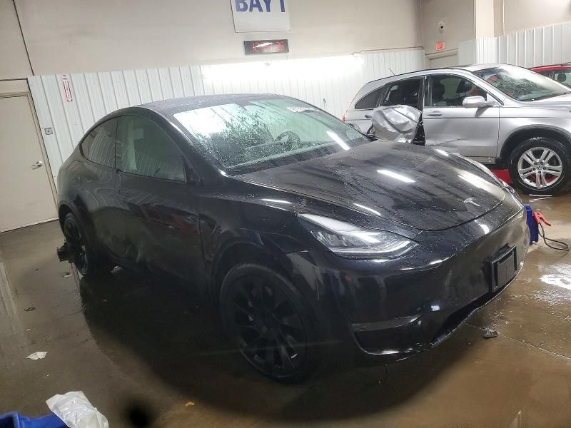 2020 Tesla Model y