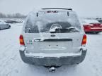 2007 Ford Escape xlt
