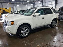 Salvage cars for sale from Copart Ham Lake, MN: 2012 Ford Escape Limited