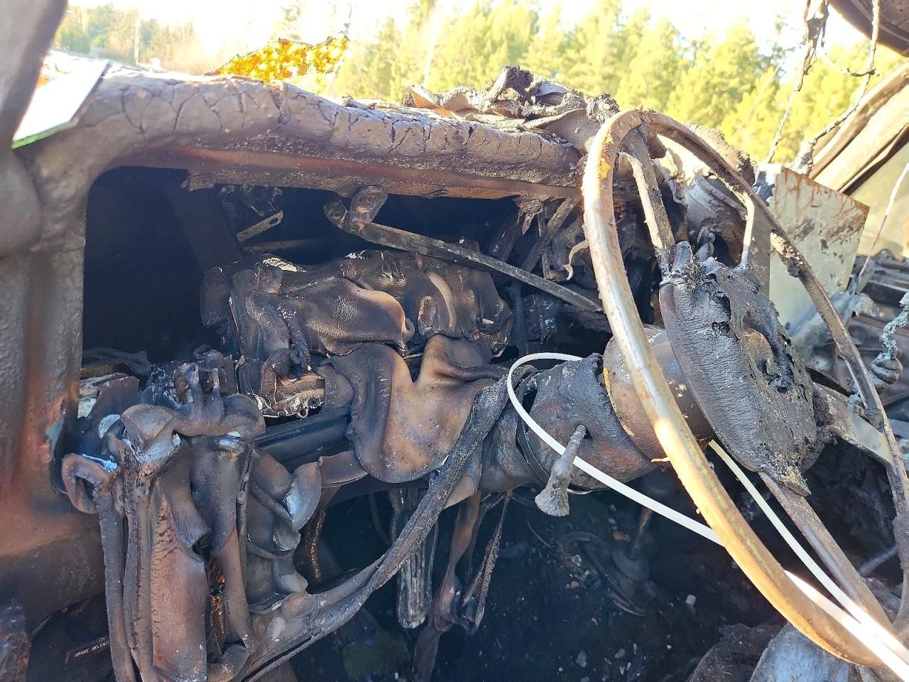 1979 Ford F100 Serie