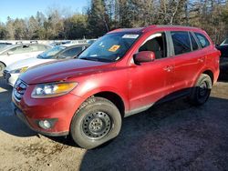 Hyundai Vehiculos salvage en venta: 2010 Hyundai Santa fe gls