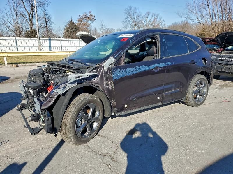 2023 Ford Escape st Line