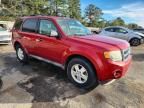 2012 Ford Escape xls