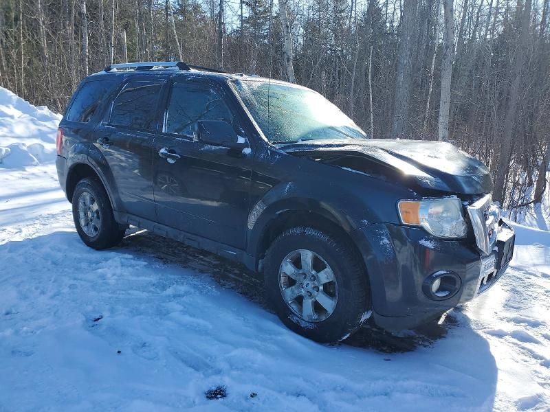 2011 Ford Escape Limited