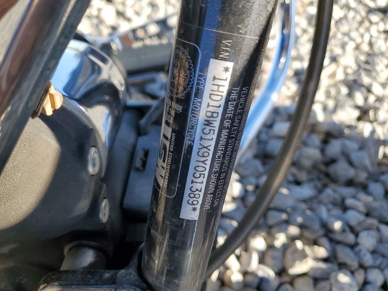 2009 Harley-Davidson Flstc