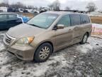 2008 Honda Odyssey exl