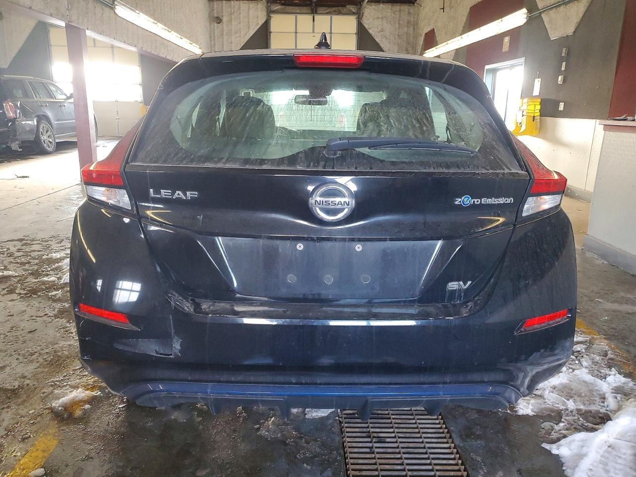 2019 Niss Leaf sv