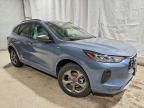 2024 Ford Escape st Line