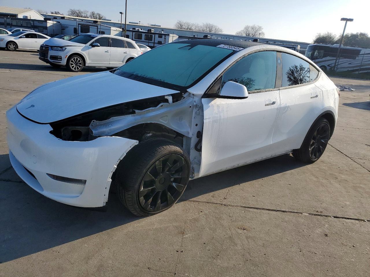 2025 Tesla Model y
