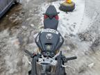 2024 Aprilia RS 660