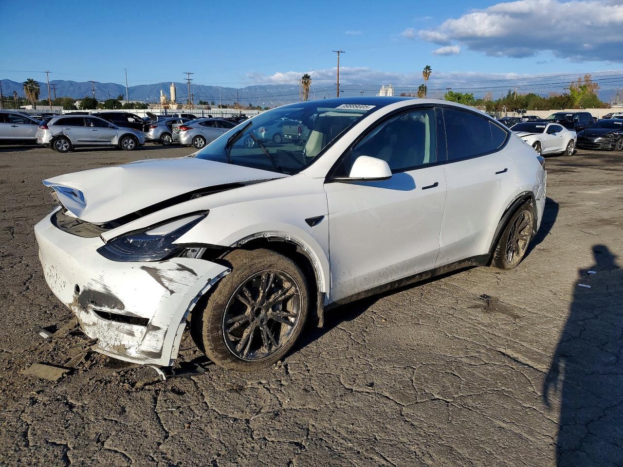 2024 Tesla Model y