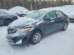 Salvage cars for sale from Copart Cookstown, ON: 2011 Toyota Corolla Base