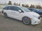 2024 Honda Odyssey exl