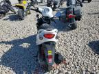 2023 Genuine Scooter Co. Buddy 50