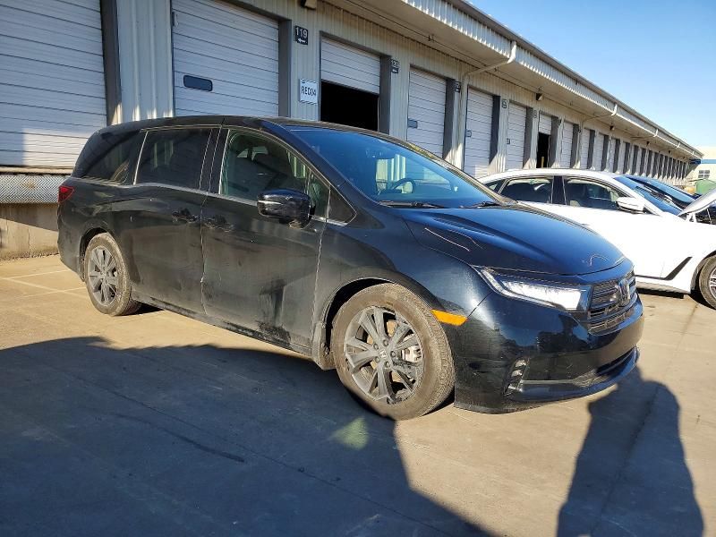 2023 Honda Odyssey Sport-l