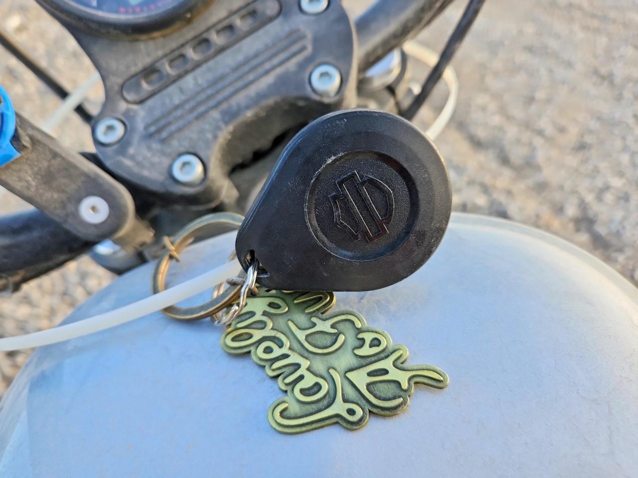 2020 Harley-Davidson XL1200 NS