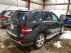 2011 Mercedes-Benz Ml 350