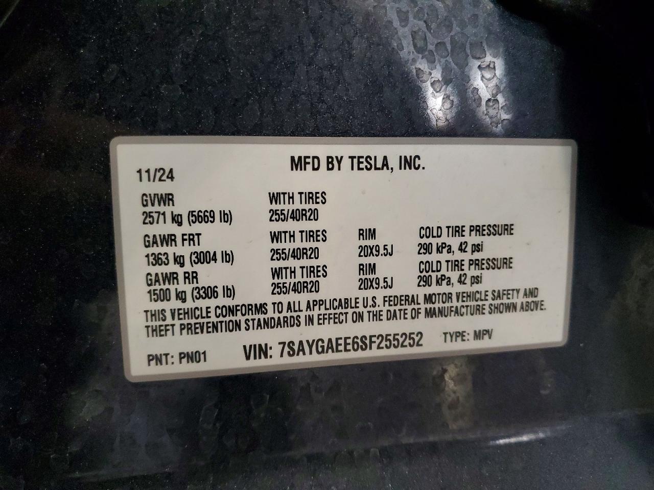2025 Tesla Model y