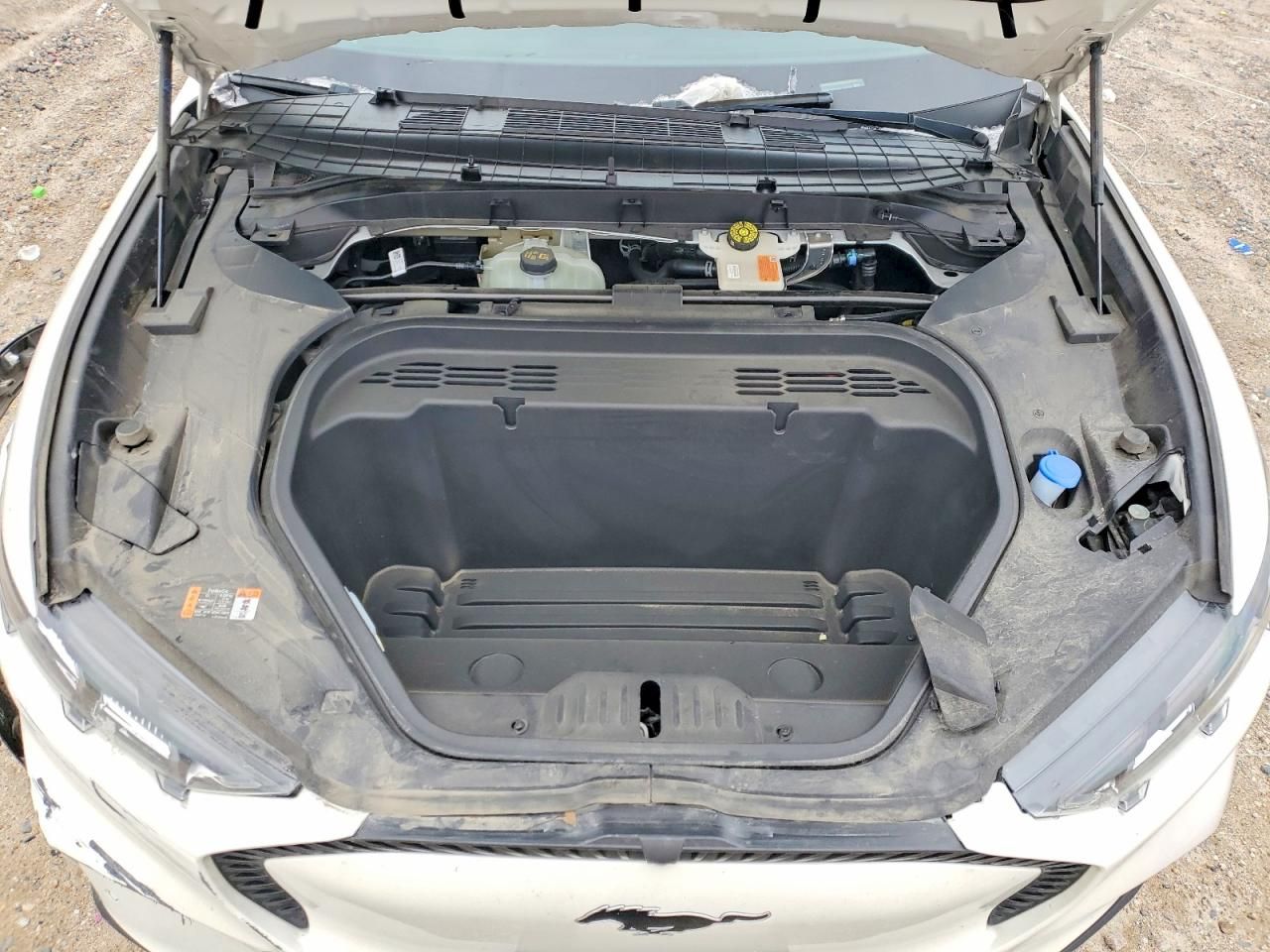 2024 Ford Mustang Mach-e Select