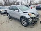 2010 Honda Cr-v exl