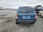 2005 Ford Escape xlt