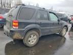 2006 Ford Escape Limited