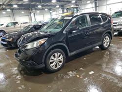 2013 Honda Cr-v exl for sale in Ham Lake, MN