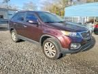 2011 KIA Sorento Base